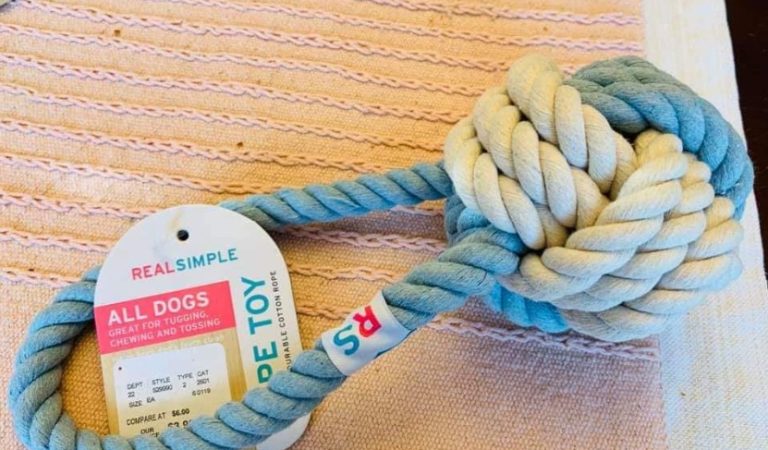 Heartbroken owner issues heartbreaking warning after rope toy tragedy