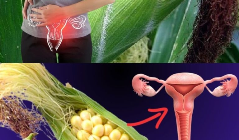Powerful Health Benefits of Corn Silk: How to Use It and Precautions to Know