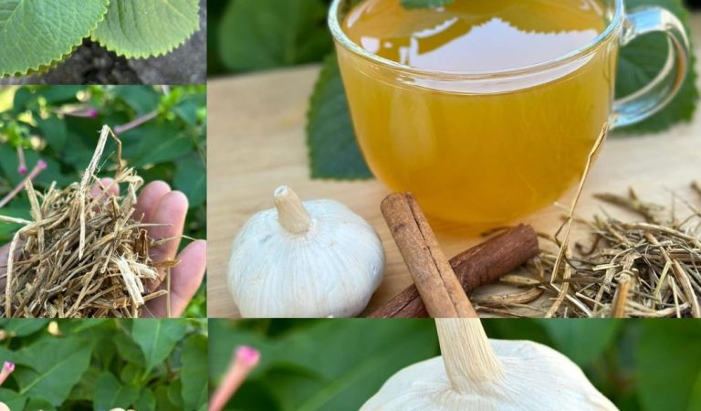 A Life-Changing Natural Remedy for Arthritis, Swollen Feet, Poor Circulation, and Back Pain