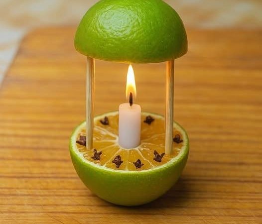 With This Remedy Not Only Will You Perfume Your Home, But the Mosquitoes Will Never Return