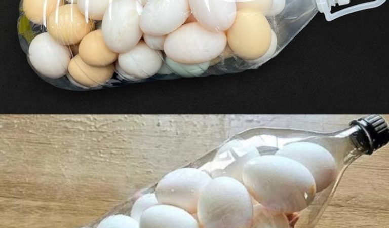 How to Safely Transport Eggs Using a 2-Liter Bottle How to Safely Transport Eggs Using a 2-Liter Bottle