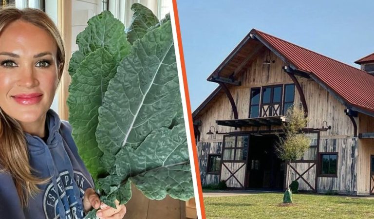 Inside Carrie Underwood’s Farm Where She Grows Her Own Veggies & Cares for Chickens – Pics Inside Carrie Underwood’s Farm Where She Grows Her Own Veggies & Cares for Chickens – Pics