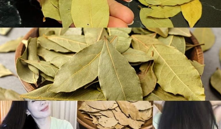Bay Leaves for Gray Hair? Here’s What No One Told You