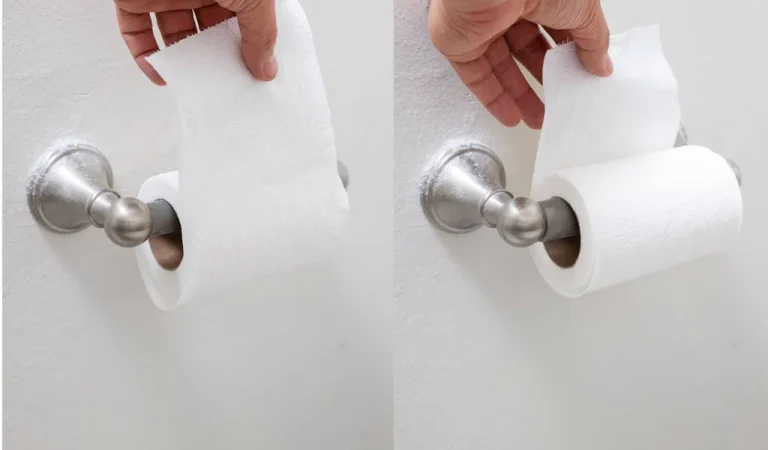 Is toilet paper coming to an end? It may soon take the place of our regular rolls